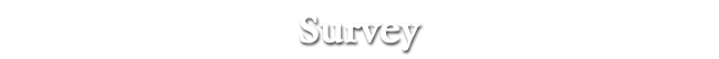 Survey